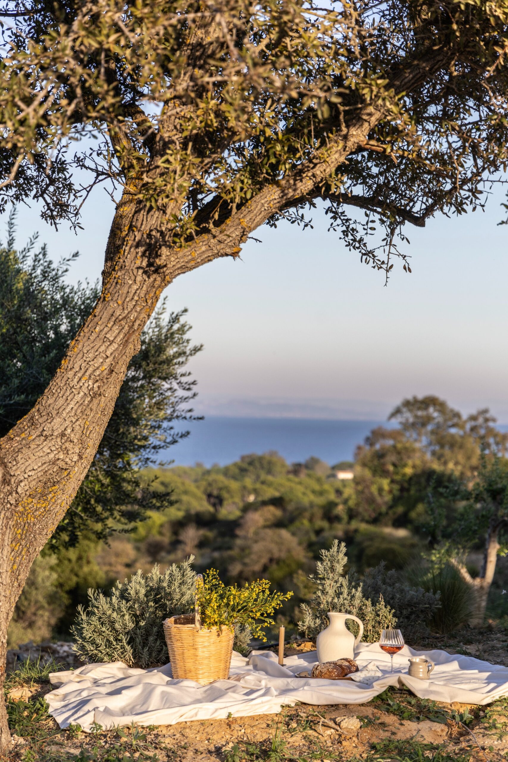 Montesea Villas - Villa Lithos