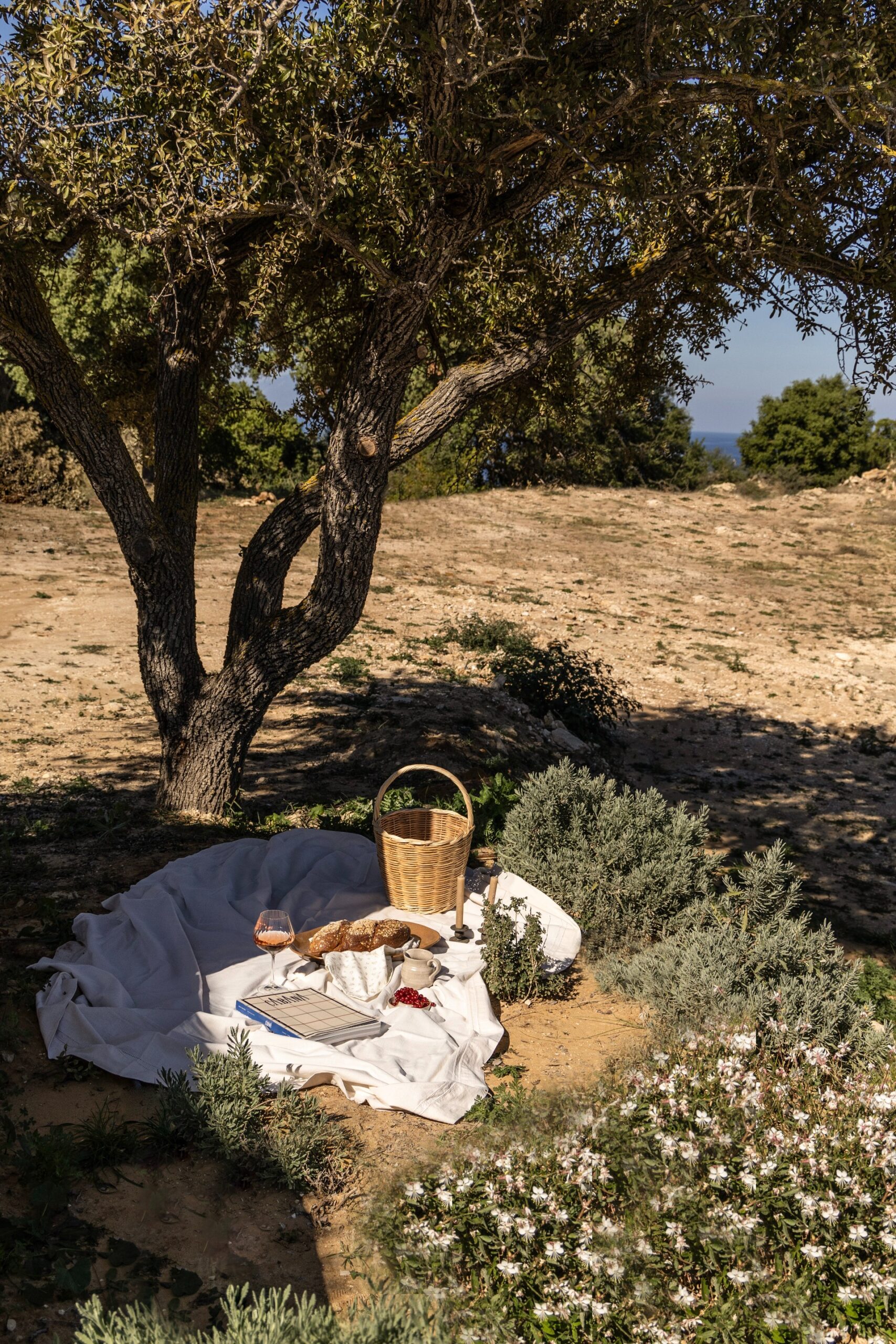 Montesea Villas - Villa Lithos